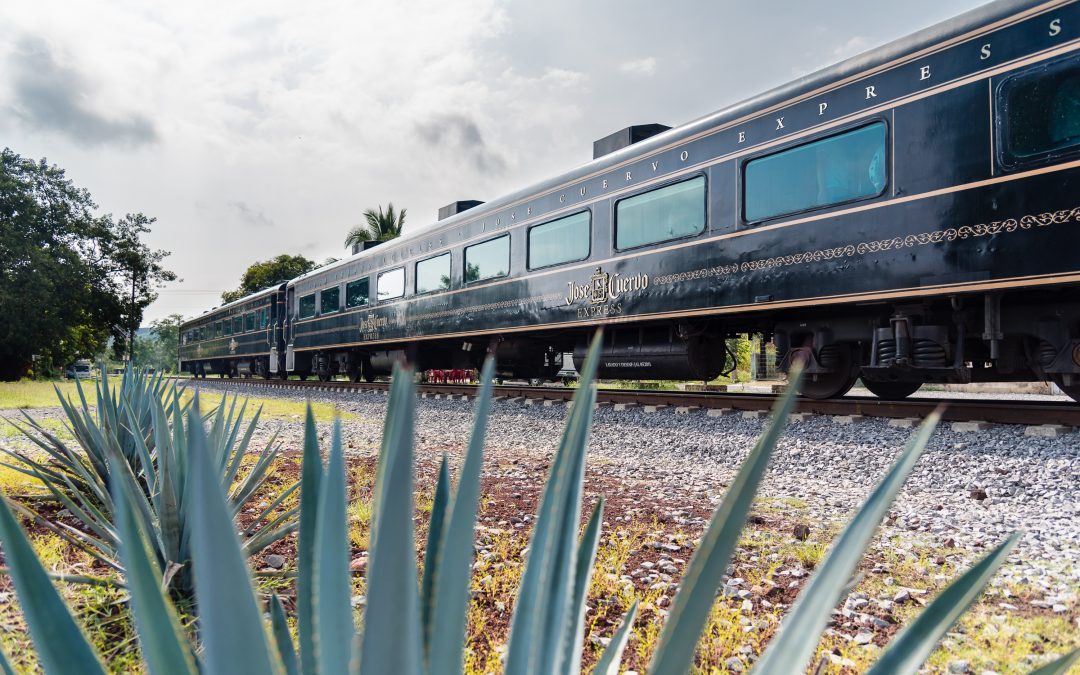 Guadalajara y Tequila en un fin de semana