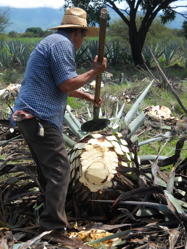 Jimador Tequila